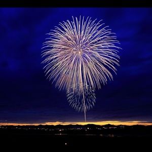 Meet your Posher, Allysia